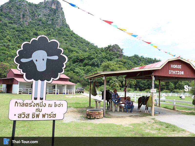 Swiss Sheep Farm